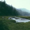 69aaf27c2ae5c.webp